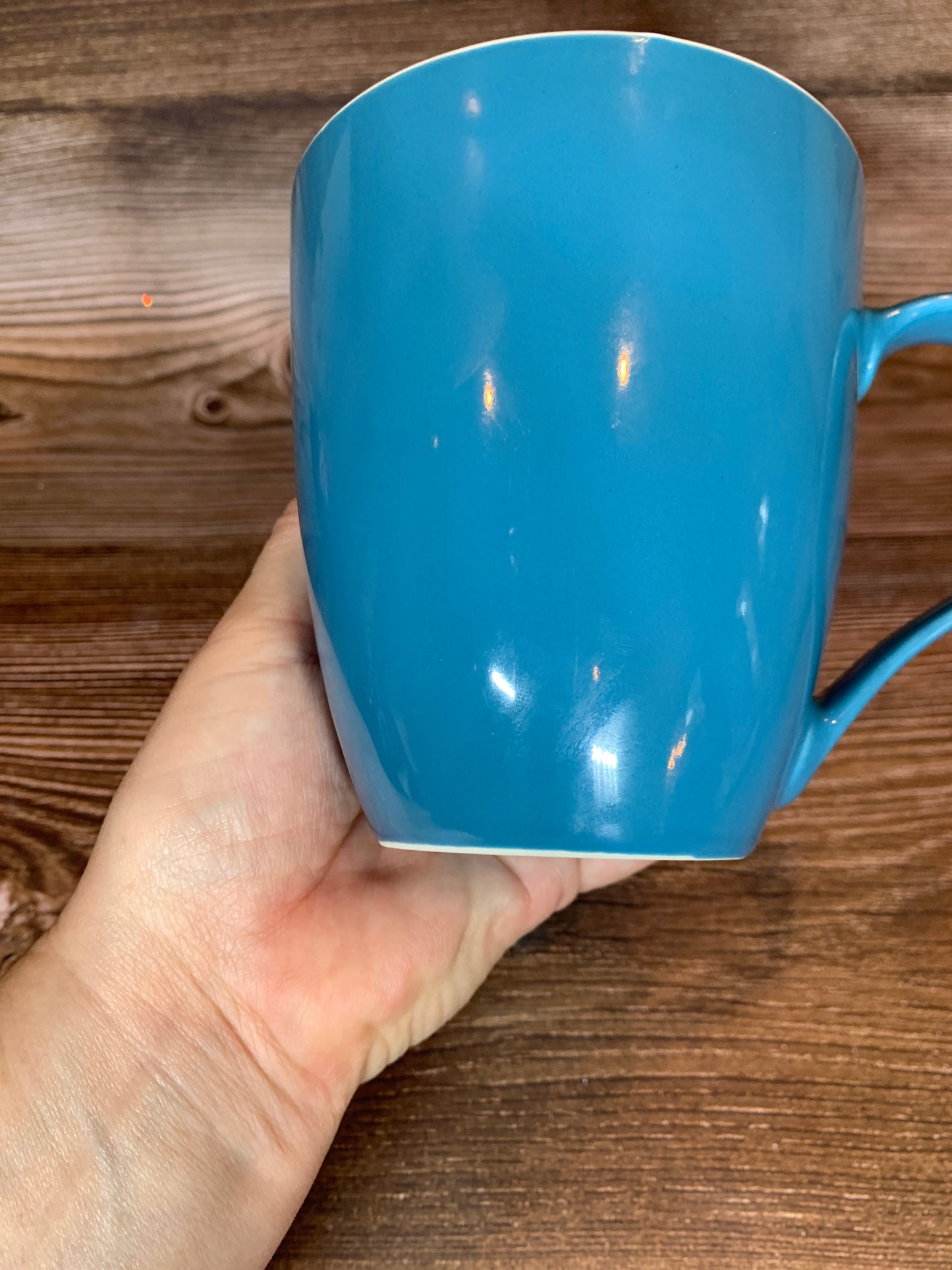 Dark Teal Mug
