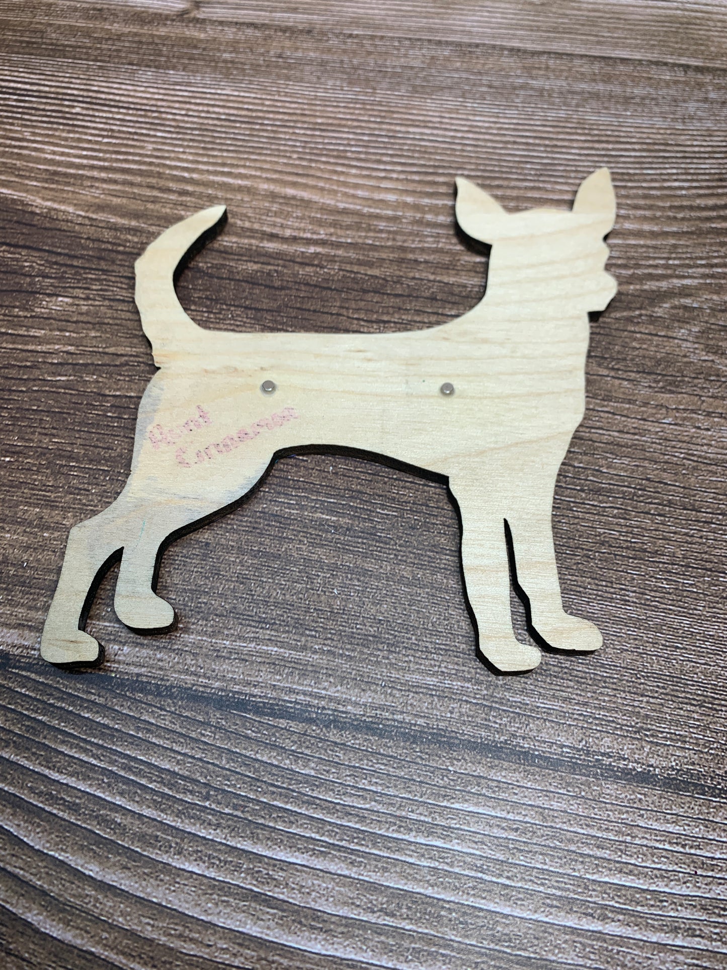 Chihuahua magnet