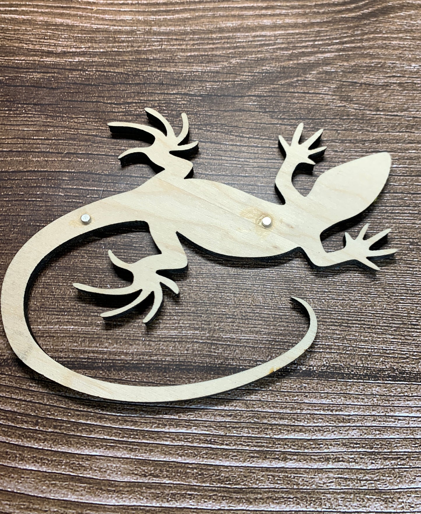 Collared Lizard Magnet
