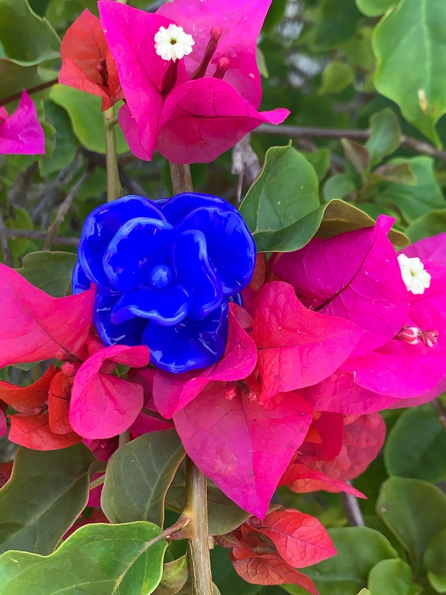 Blue Plant Stake with Copper Leaves