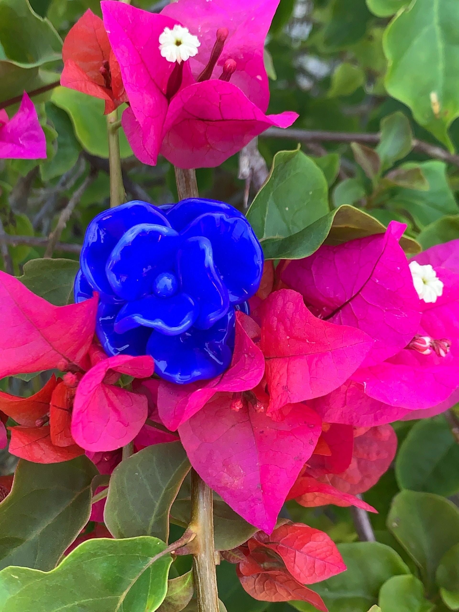 Blue Plant Stake with Copper Leaves